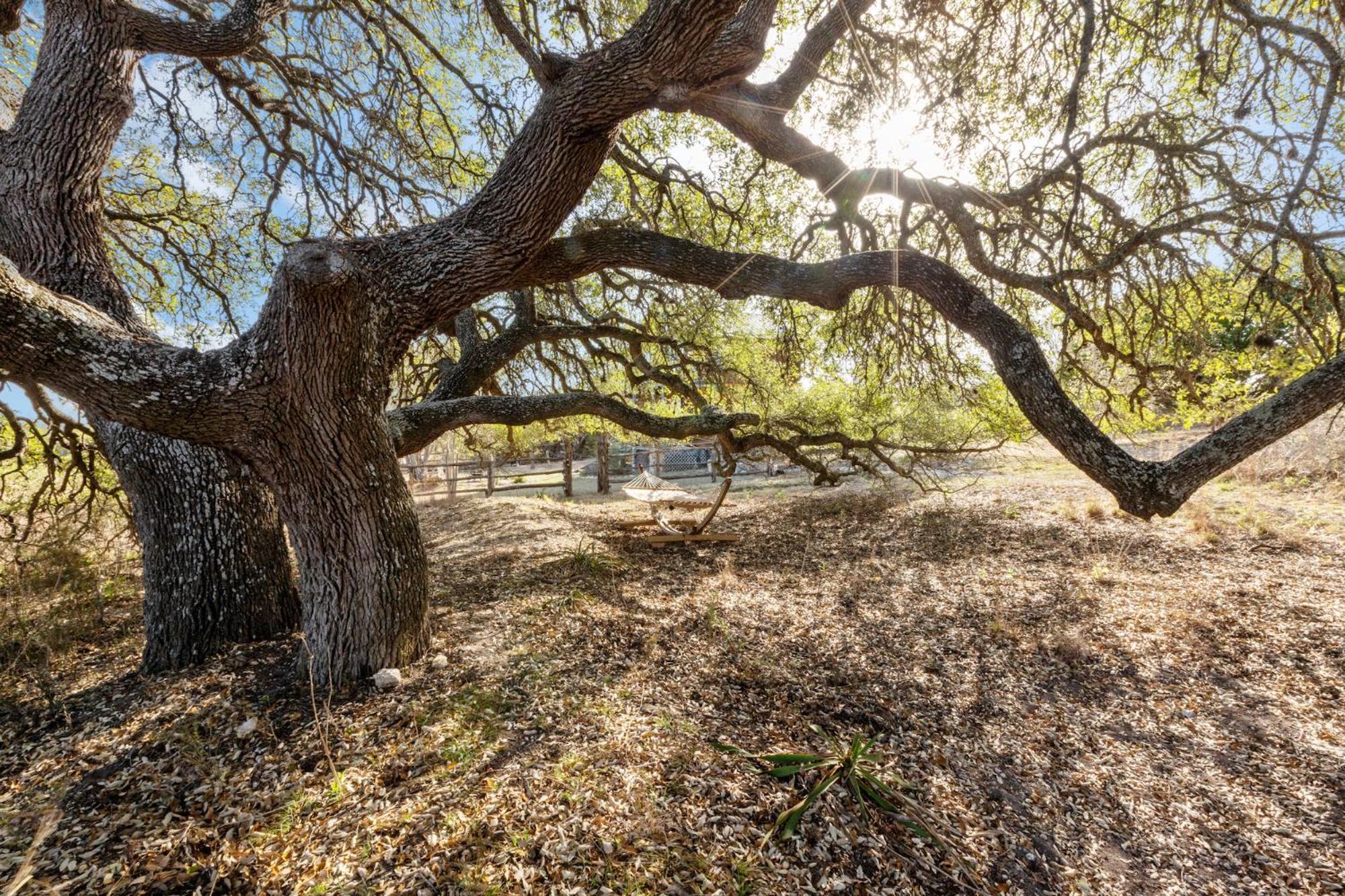 Mighty Oak Log Cabin Фредериксберг Экстерьер фото